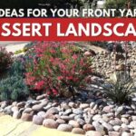 front yard desert landscaping ideas on a budget