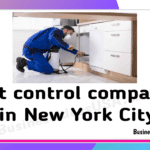 Pest control companies in new york city new york NYC