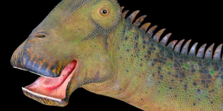 What Kind of Dinosaur Has 500 Teeth